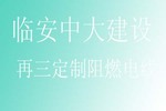 临安中大建设再三定制阻燃电线