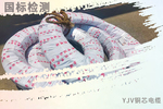 耐火rvsp电线