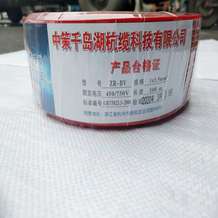 中策科技BV2.5电线