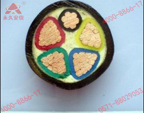 NH-YJV四芯耐火阻燃电缆正面细节图