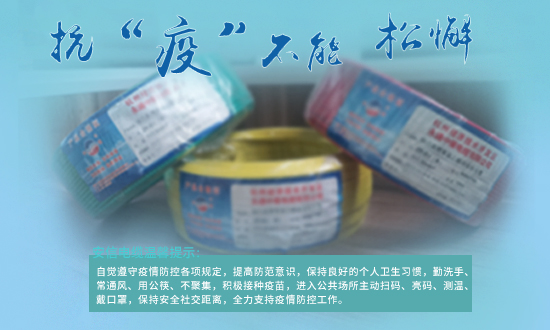 永通中策低烟无卤电线