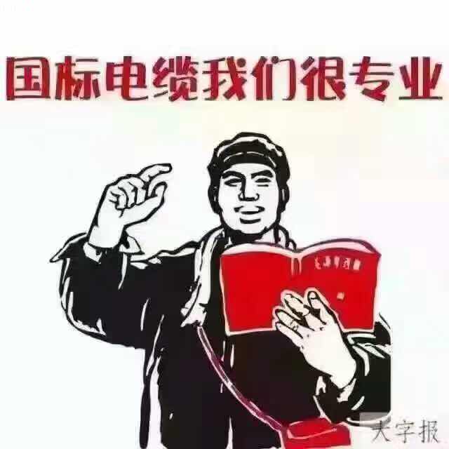 电线电缆